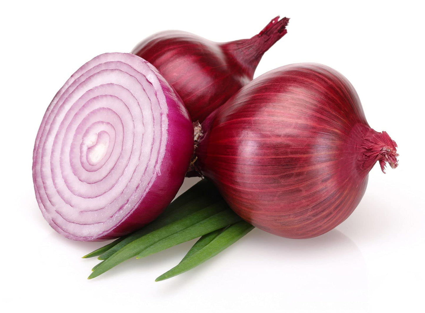 Giant Onion Allium giganteum Mixed Color Seeds for Planting in Vegetable Patch for Planting, Premium Vegetable Seeds | H
