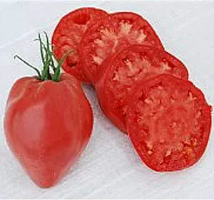 Heart Tomato Solanum lycopersicum Seeds for Planting in Vegetable Patch & Garden for Planting, Premium Vegetable Seeds |