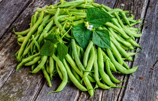 Stick Beans Vegetable Plant Seeds for Planting in Vegetable Patch for Planting, Premium Vegetable Seeds | Heirloom Non-G