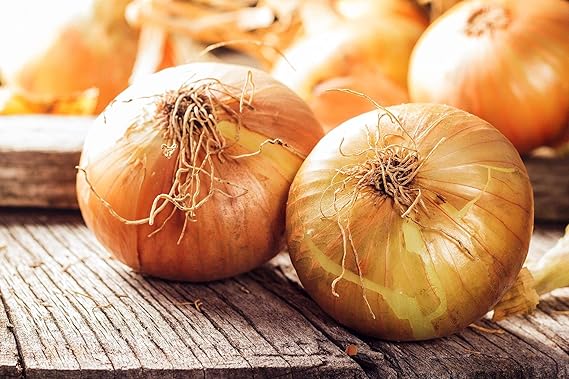 Onion Allium cepa Seeds for Planting in Vegetable Patch & Garden for Planting, Premium Vegetable Seeds | Heirloom Non-GM