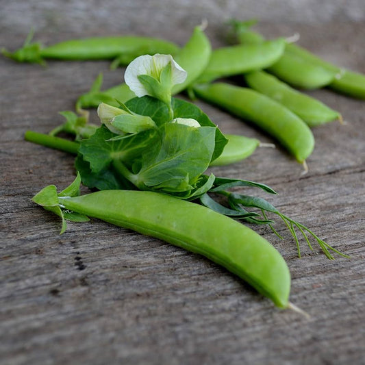 Sugar Ann Snap Peas Pisum sativum Seeds for Planting in Vegetable Patch for Planting, Premium Vegetable Seeds | Heirloom