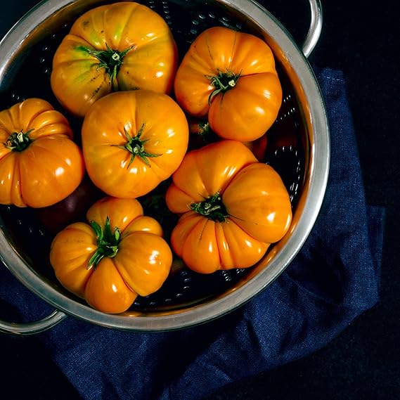 Orange Tomato Solanum lycopersicum Seeds for Planting in Vegetable Patch & Garden for Planting, Premium Vegetable Seeds