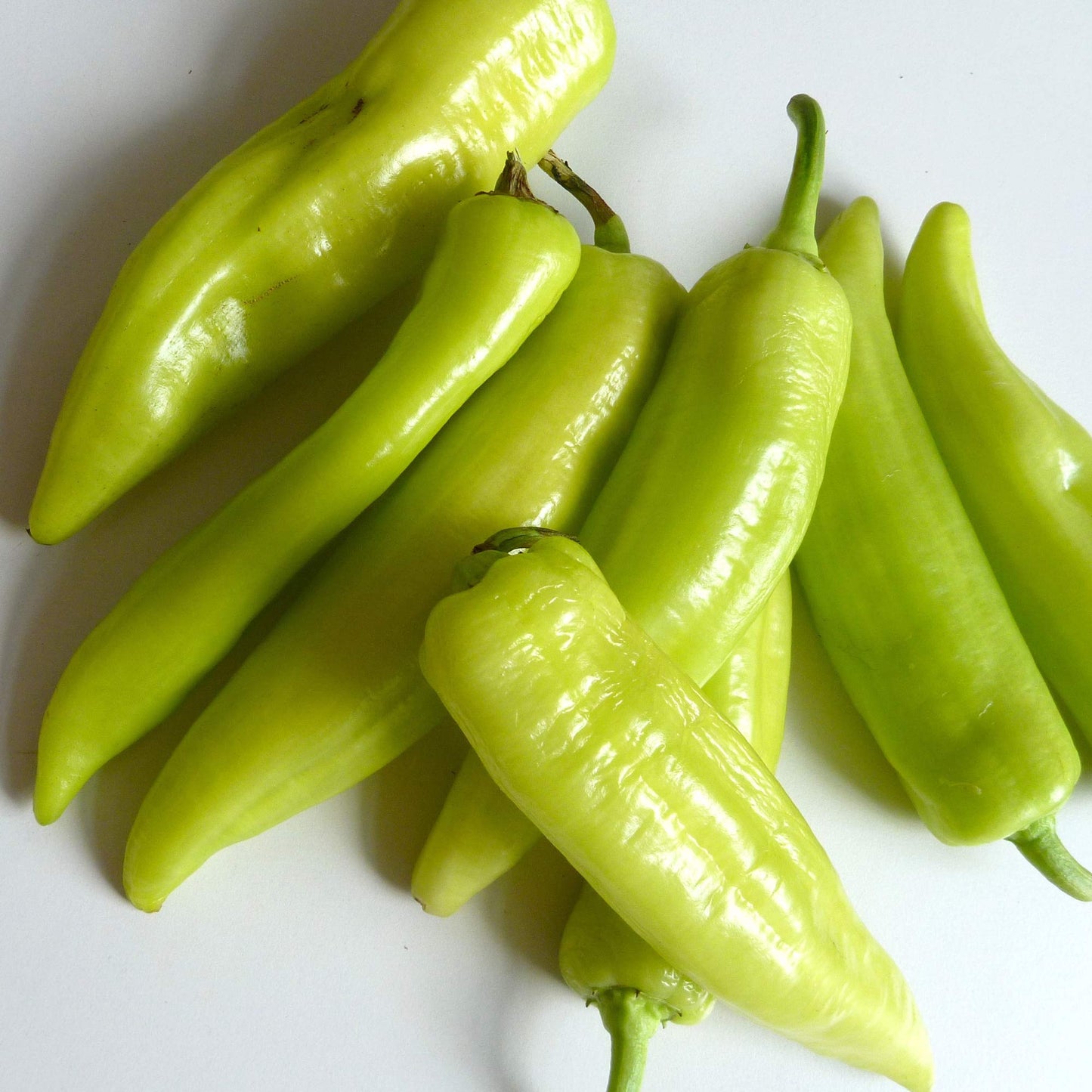Flowers Authentic Italian Pepper Capsicum annuum Seeds for Planting in Vegetable Patch for Planting, Premium Vegetable S