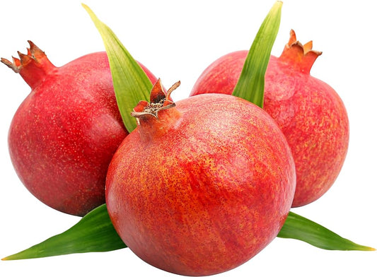Pomegranate Punica granatum Fruit Seeds for Planting in Vegetable Patch Fruit Seeds for Home Gardens, Containers & Outdoor Growing