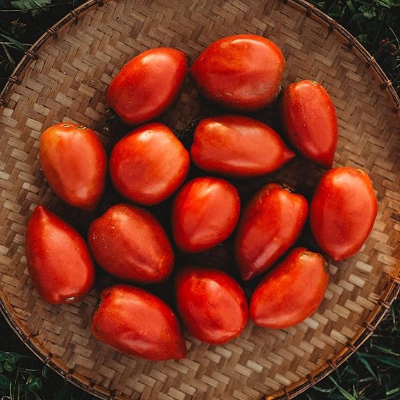 Amish Paste Heirloom Tomato Solanum lycopersicum Vegetable Seeds for Planting in Garden for Planting, Vegetable Seeds |