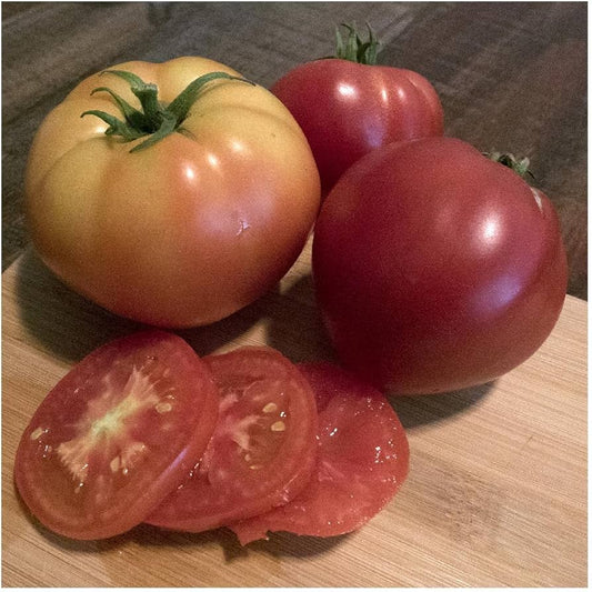 Abe Lincoln Heirloom Tomato Seeds for Planting, Vegetable Seeds | Heirloom Non-GMO