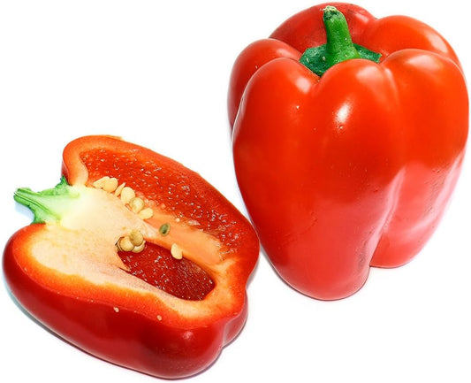 Ajito Pepper Capsicum spp Vegetable Seeds for Planting in Vegetable Patch and Garden for Planting, Premium Vegetable See