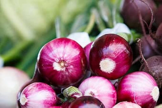 Onion Allium cepa Seeds for Planting in Vegetable Patch and Home Garden for Planting, Premium Vegetable Seeds | Heirloom