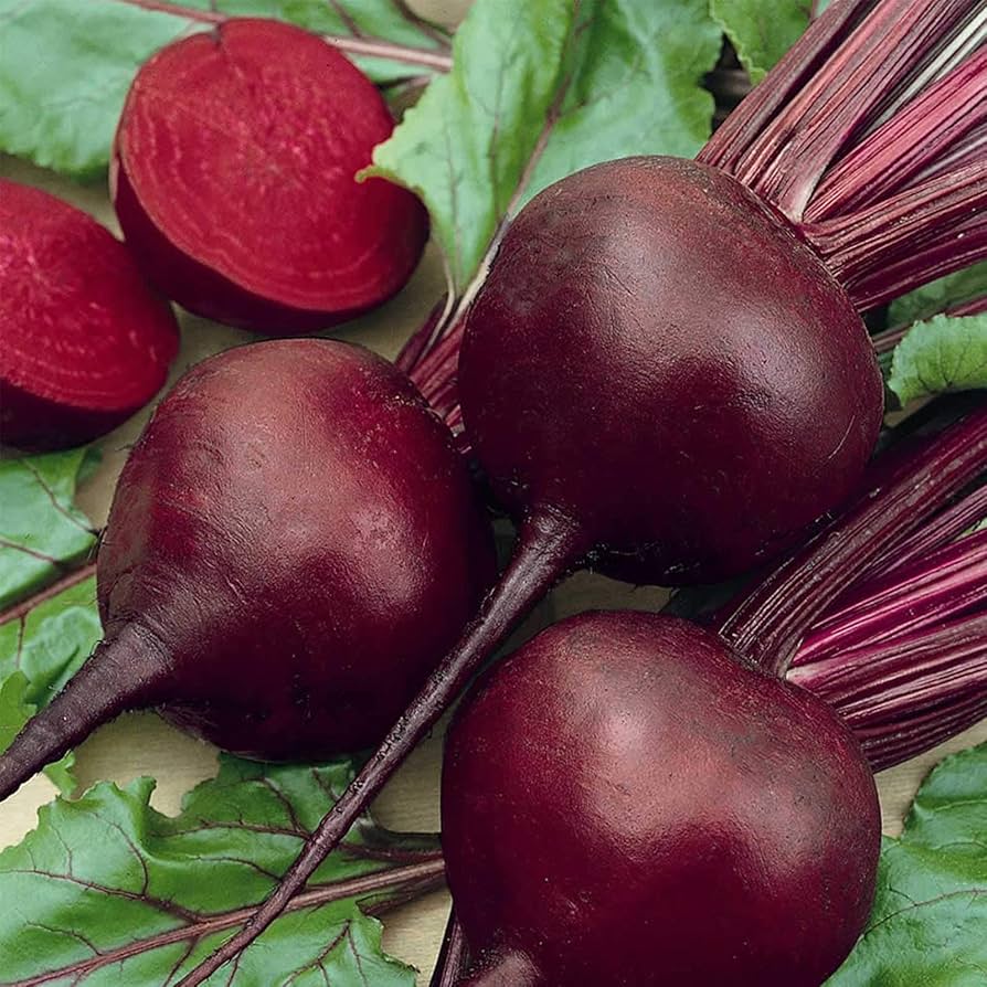 Beetroot Beta vulgaris Vegetable Seeds for Planting in Vegetable Patch and Garden for Planting, Premium Vegetable Seeds