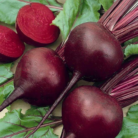 Beetroot Beta vulgaris Vegetable Seeds for Planting in Vegetable Patch and Garden for Planting, Premium Vegetable Seeds