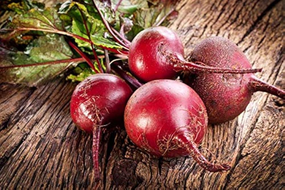 Sugar Beet Beta vulgaris Plant Seeds for Planting for Planting, Premium Vegetable Seeds | Heirloom Non-GMO