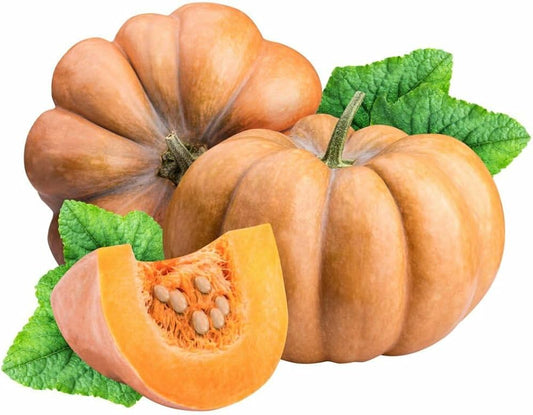 Bonsai Pumpkin Seeds for Planting Cucurbita Pepo miniature garden container patch for Planting, Premium Seeds | Heirloom