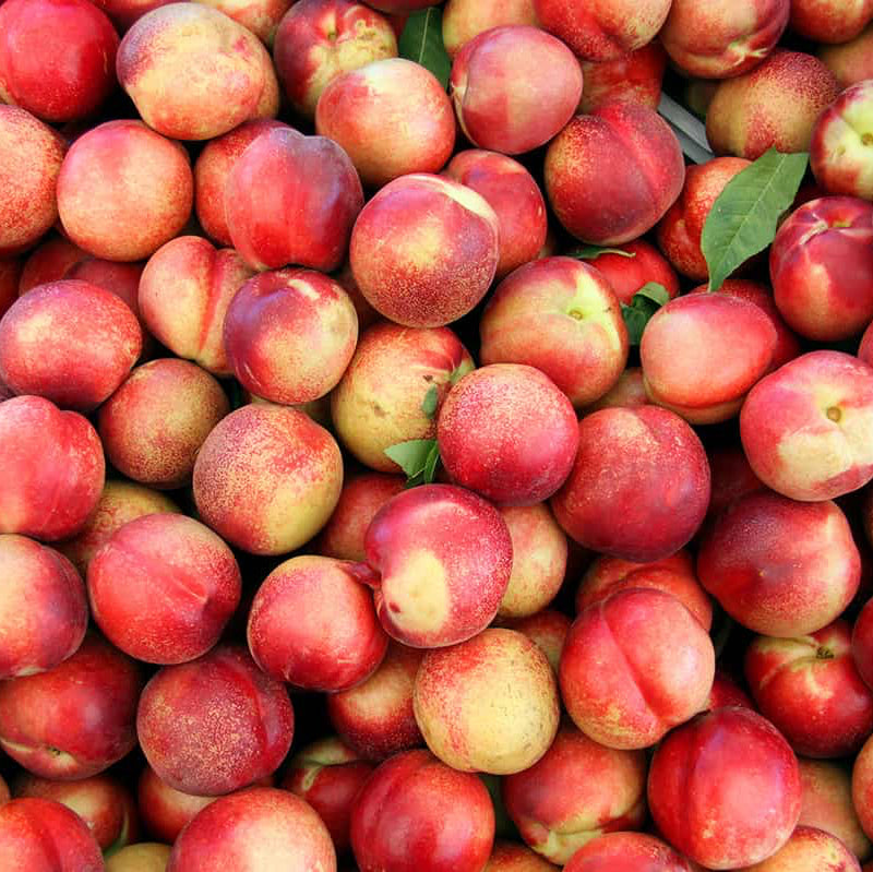 Nectarine Tree Seeds ¨C Sweet Fruiting Garden Variety