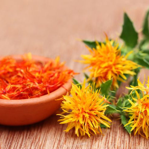 Safflower Seeds | Heirloom Non-GMO Flower Seeds for Home Gardens