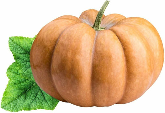 Calabaza Pumpkin Seeds for Planting Cucurbita Moschata vegetable patch edible garden for Planting, Premium Seeds | Heirl