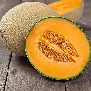 Cantaloupe Cucumis melo Fruit Seeds for Planting in Vegetable Patch Fruit Seeds for Home Gardens, Containers & Outdoor Growing
