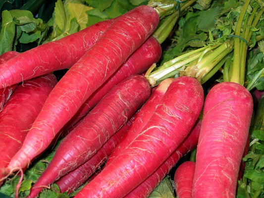 Carrot Daucus Carota Vegetable Seeds for Planting, Premium Vegetable Seeds | Heirloom Non-GMO