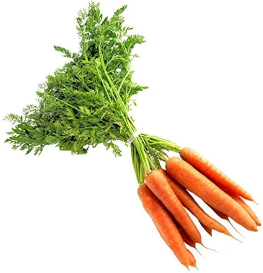 Carrot Seeds for Planting Daucus Carota vegetable patch raised bed for Planting, Premium Vegetable Seeds | Heirloom Non-
