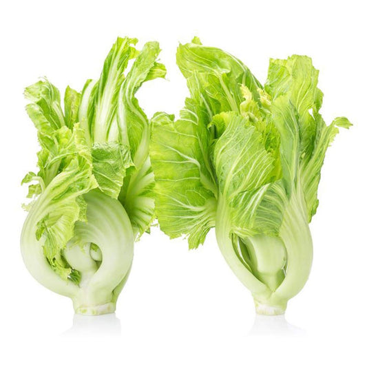 Chinese Mustard Brassica juncea Seeds for Planting in Vegetable Patch and Herb Garden for Planting, Premium Seeds | Heir