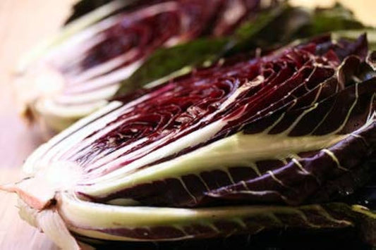Castelfranco Radicchio Cichorium intybus Vegetable Seeds for Planting in Garden for Planting, Premium Seeds | Heirloom N