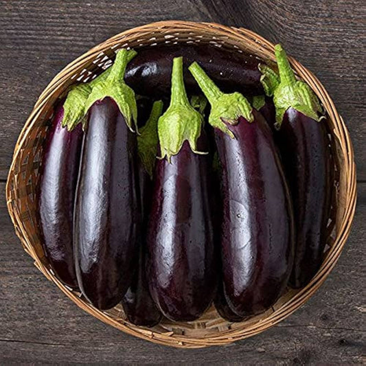 Diamond Eggplant Seeds for Planting Solanum Melongena vegetable patch balcony garden for Planting, Premium Vegetable See