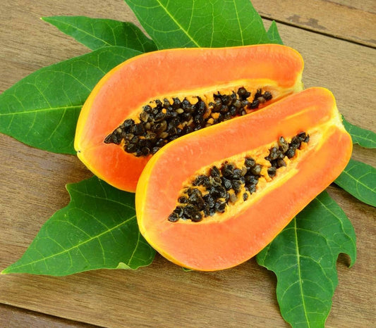 Dwarf Papaya Carica papaya Fruit Seeds for Planting for Tropical Garden Tropical Fruit Seeds for Home Gardens, Containers & Outdoor Growing