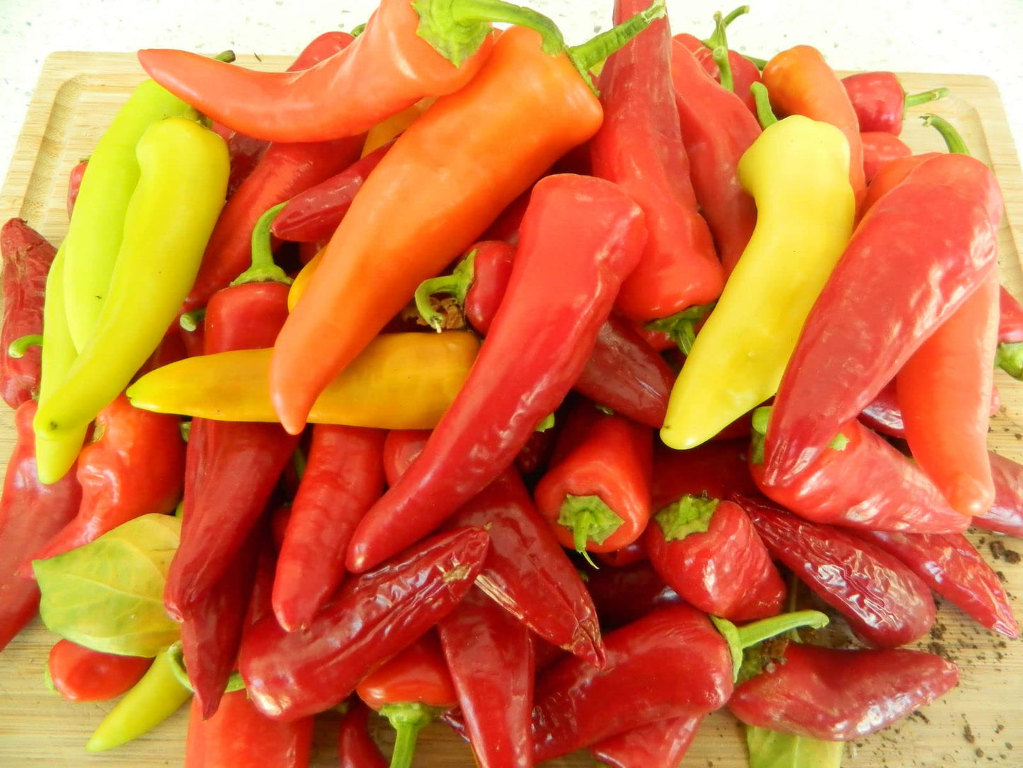 Hungarian Pepper Capsicum annuum Vegetable Seeds for Planting in Garden and Vegetable Patch for Planting, Premium Vegeta