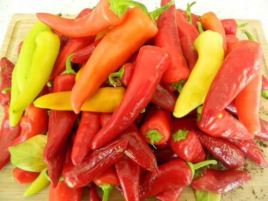 Hungarian Pepper Capsicum annuum Vegetable Seeds for Planting in Garden and Vegetable Patch for Planting, Premium Vegeta