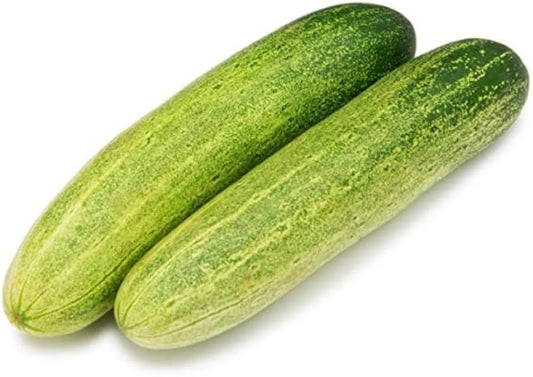 Long Greek Cucumber Cucumis sativus Vegetable Seeds for Planting in Garden for Planting, Premium Vegetable Seeds | Heirl