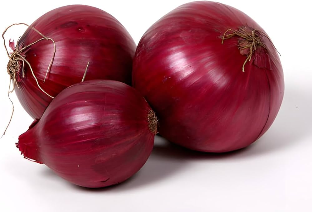 Onion Allium cepa Vegetable Seeds for Planting for Planting, Premium Vegetable Seeds | Heirloom Non-GMO