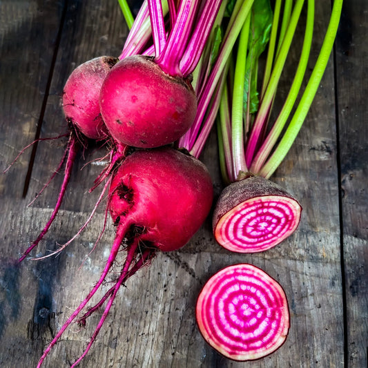 Chioggia Beet Seeds - Candy Stripe Heirloom Variety for Planting, Vegetable Seeds | Heirloom Non-GMO