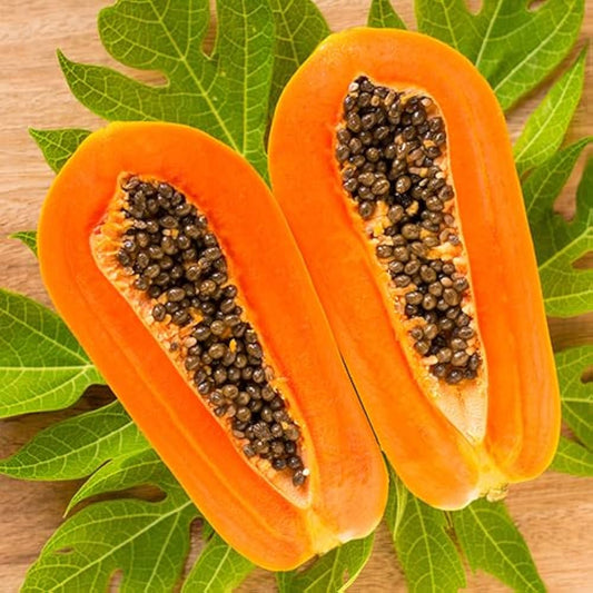Papaya Carica papaya Seeds for Planting for Tropical Garden Tropical Fruit Seeds for Home Gardens, Containers & Outdoor Growing