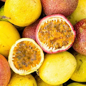 Passion Fruit Passiflora edulis Fruit Seeds for Planting in Garden Fruit Seeds for Home Gardens, Containers & Outdoor Growing