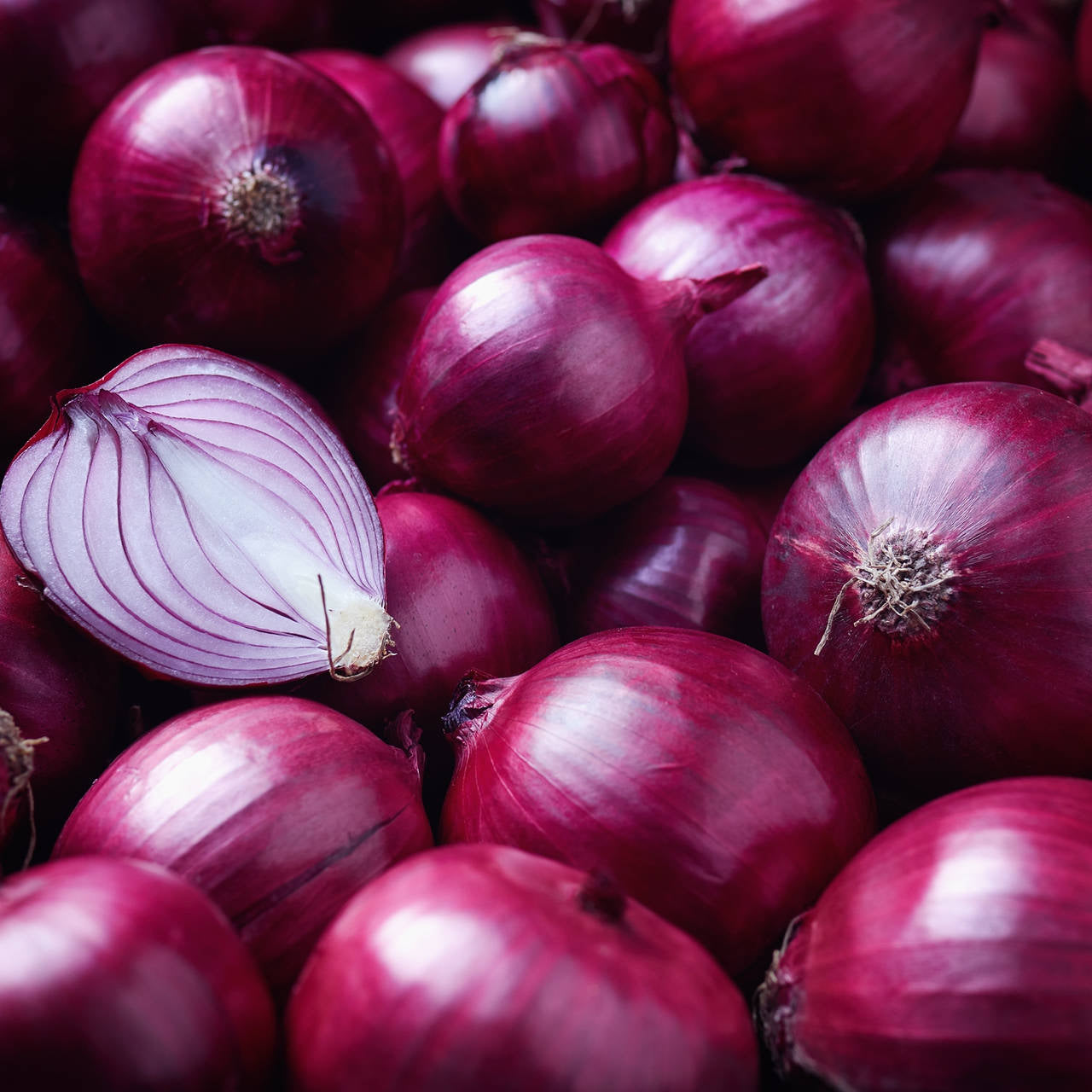 Red Onion Seeds ¨C Bulb Garden Variety