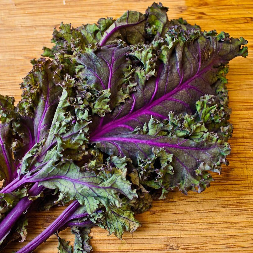 Red Russian Kale Seeds | Heirloom Non-GMO Vegetable Seeds for Home Gardens