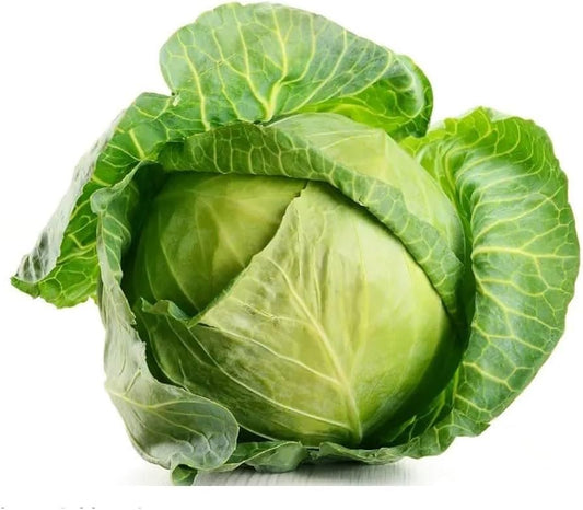 Russian Cabbage Brassica oleracea Vegetable Seeds for Planting in Vegetable Patch and Garden for Planting, Premium Veget