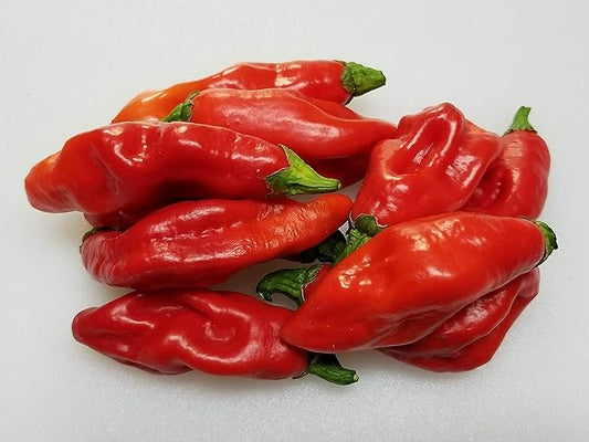 Trinidad Pimento Capsicum chinense Pepper Seeds for Planting in Garden for Planting, Premium Vegetable Seeds | Heirloom